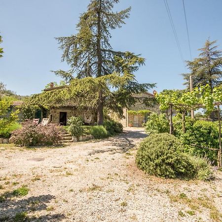 Appartamento Gemma Verde-Tavoleto Castiglione d'Orcia Exterior photo