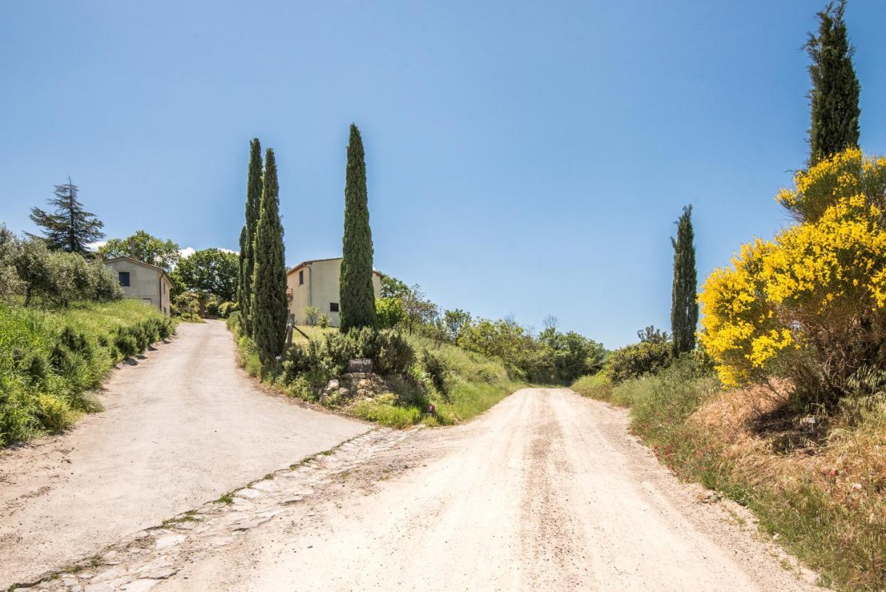 Appartamento Gemma Verde-Tavoleto Castiglione d'Orcia Exterior photo